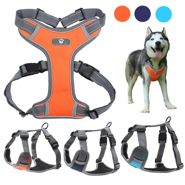 husky no pull harness