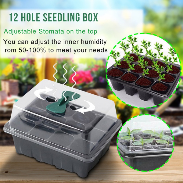 12 Hole Plant Seed Grow Box Nursery Seedling Starter Garden Yard Tray New 
