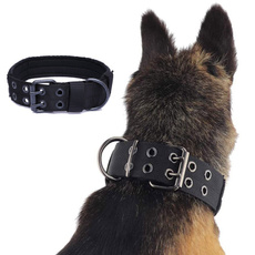 Heavy, petharne, Dog Collar, hundehalsband