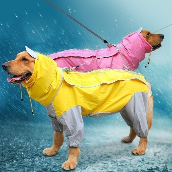 golden retriever raincoat