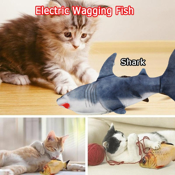 shark cat toy