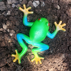 Toy, fakefrog, funnygifttoy, Frog