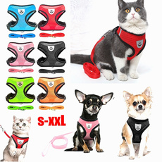 Vest, puppy, Dog Leash, Fashion Accessory