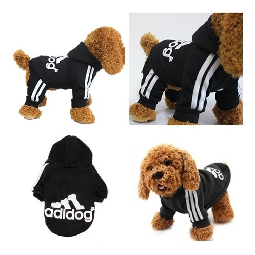 matching moletom com capuzs for dog and owner