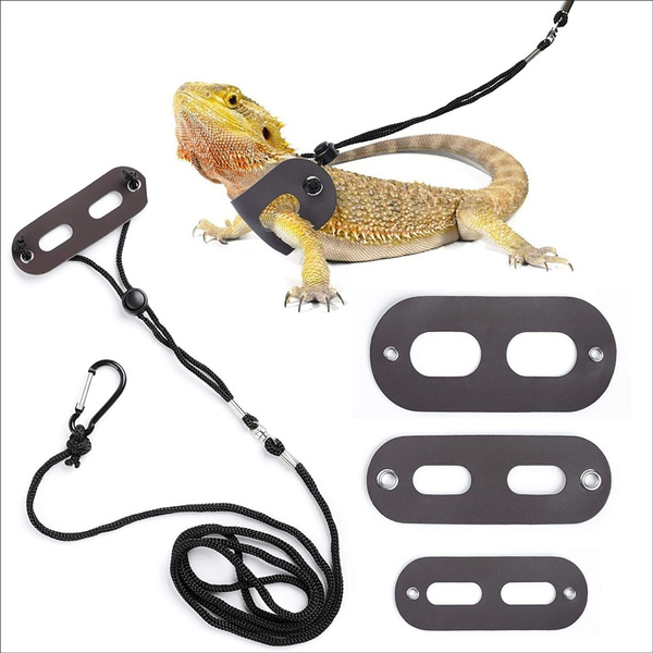 chameleon leash