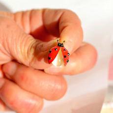 ladybug, brooches, ladybugaccessorie, Jewelry