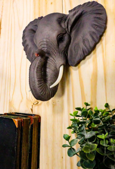 namewalliddecoration, Decor, safari, namehomeidgt