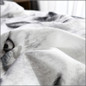 thumbnail - 6