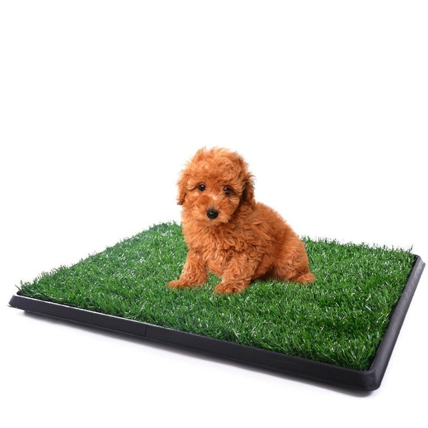 dog training grass mat