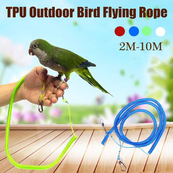 6m Bird Flying Rope Parrot Birds Anti-bite Outdoor Flying Training  Traveling Walking Rope Portable Pet Bird Leash Kits