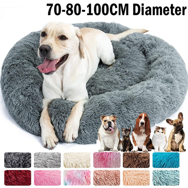 Dog beds on store wish