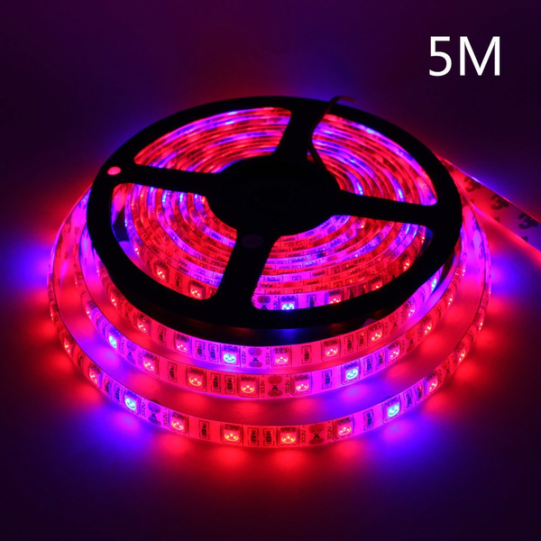 5 3 2 1 M Led Phyto Lamps Full Spectrum Led Strip Light 300 180 120 60 