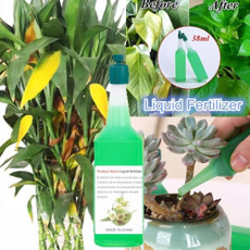 Plants, promoteabsorptionofnutrition, effective, seedling