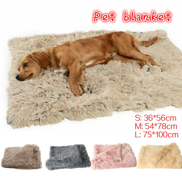 what size is a dog blanket