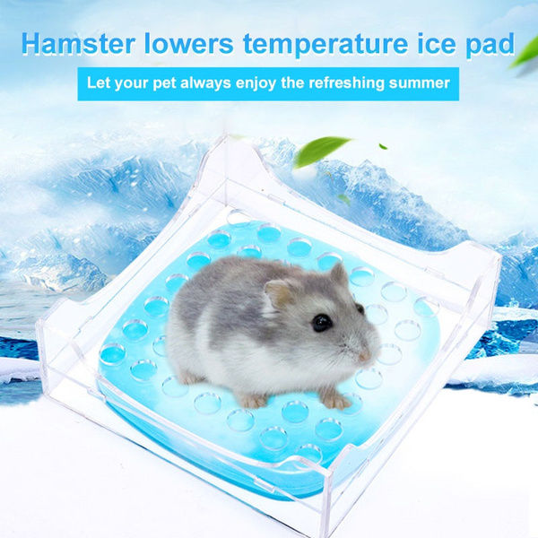hamster cooling pad