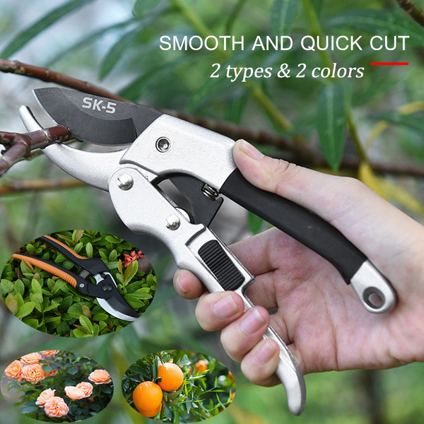 Garden Tools which Prune Tree Limbs Safely
