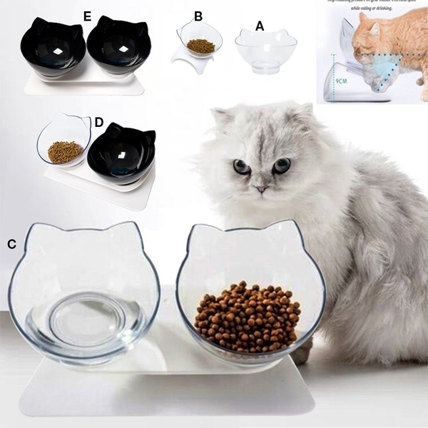large cat bowl