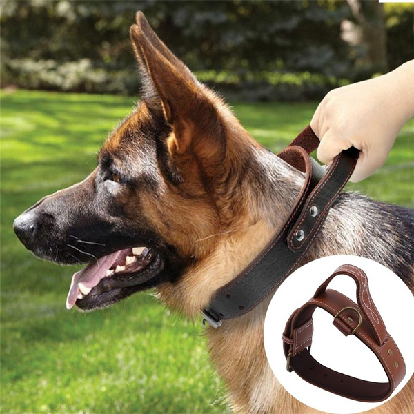 Pet Supplies Dog Collar, Collar Small Dog Rope