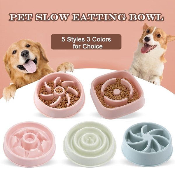 useful dog accessories