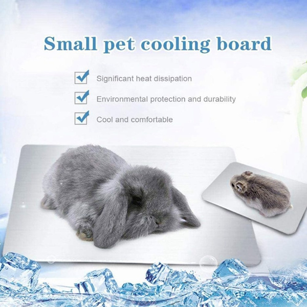 Small animal on sale cooling pad