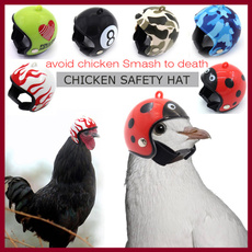 Helmet, chickhat, pethelmet, Pets