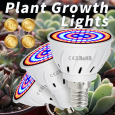 growinglight, Plants, Flowers, hydroponiclight