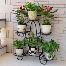 Plantas, plantshelf, Decoración del hogar, Pot