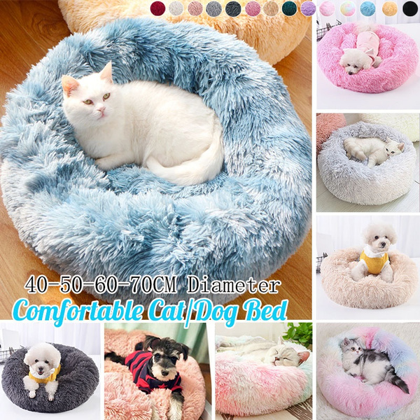 wish cat bed