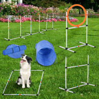 dog agility equipment for sale near me