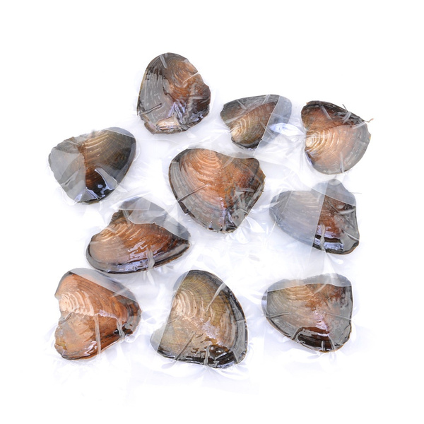Freshwater pearl small river mussels vacuum packed one mussel one pearl