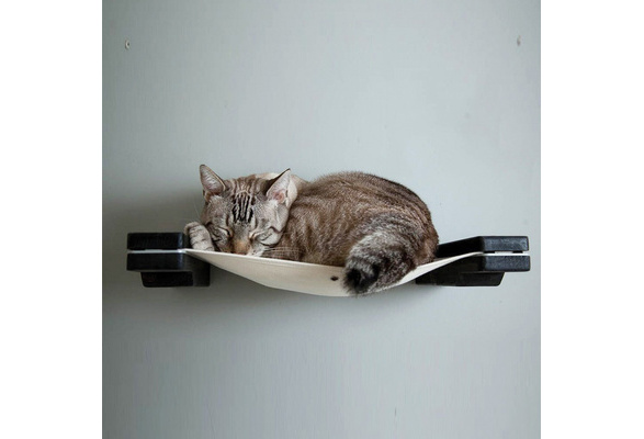 cat wall activity centre