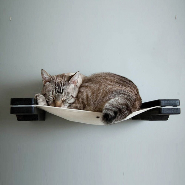 wall toys for cats