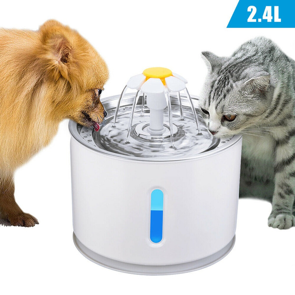 dog electric water bowl