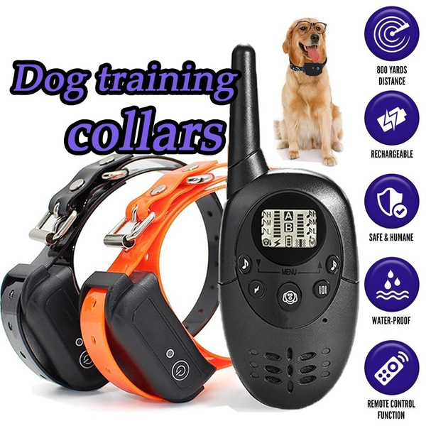 dog training collars remote training
