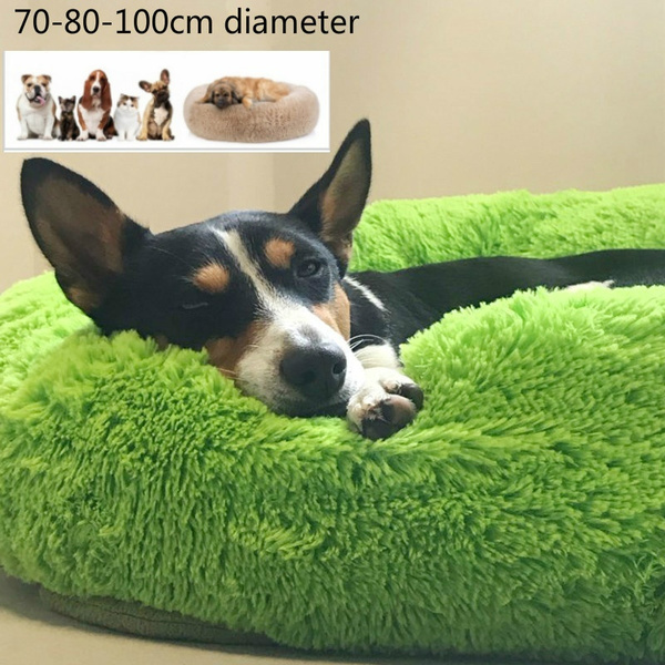 long dog bed