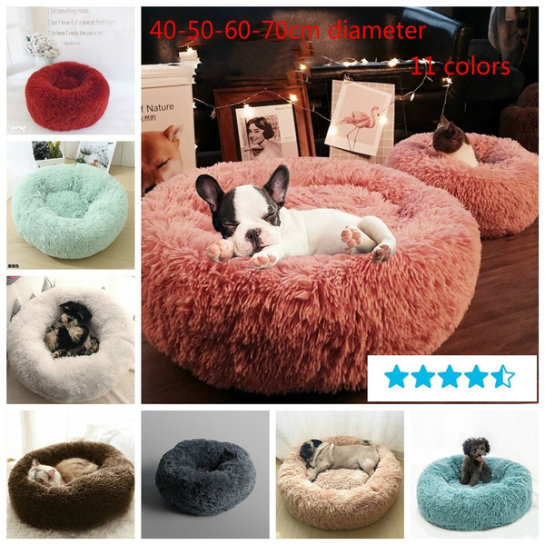 dog house bedding for winter