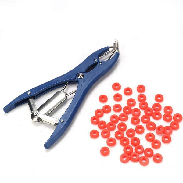 100Pcs Rubber Elastic Sheep Cow Pig Castration Pliers Rings Veterinary Surgical 
