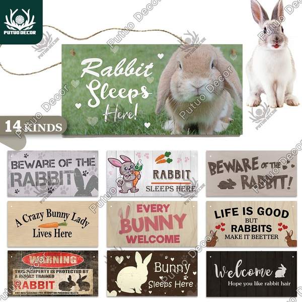 Putuo Decor Rabbit Signs Wooden Hanging Plaques Love Of Gift Pet House Home Decoration 3 9 7 8 Wish - Rabbit Home Decor