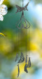thumbnail - 0
