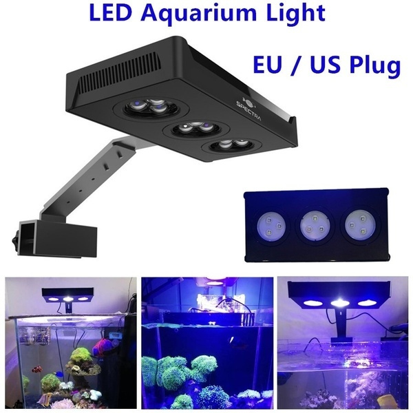 Best Nano Reef Tank Lighting for Small Coral Reefs