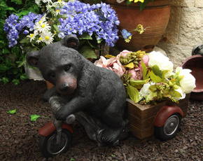 Mountain, Decor, Flowers, Gardening