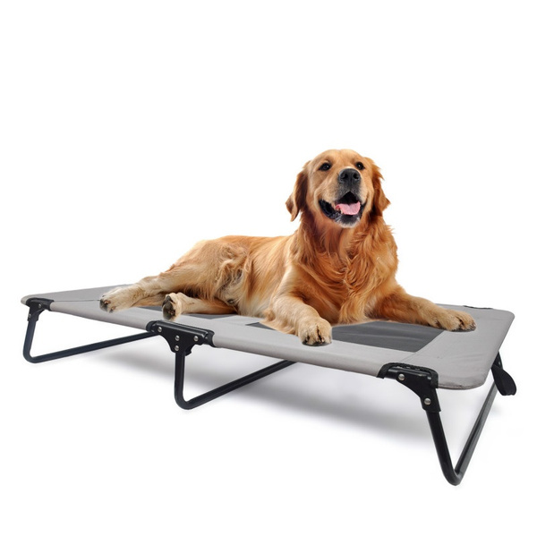 folding dog bed