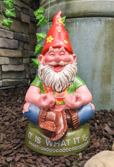 living, Lawn, Outdoor, Yard