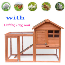 tray, livinghouse, Door, Garden