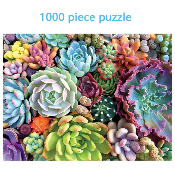 Education Puzzles  Succulent Spectrum Plants 1000 Piece Jigsaw Children NEW 