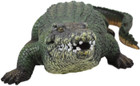 thumbnail - 4