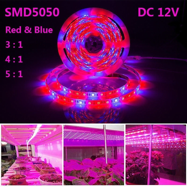 30/60/120/180/300LED Waterproof Grow Light Full Spectrum USB Grow Light  Strip 0.5/1/2/3/5M 2835 Chip LED Phyto Lamp for Plants Flowers Greenhouse  Hydroponic