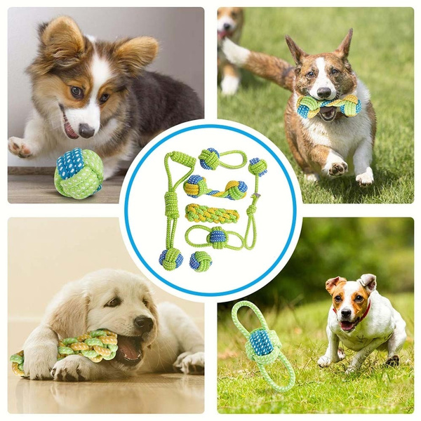 wish dog toys