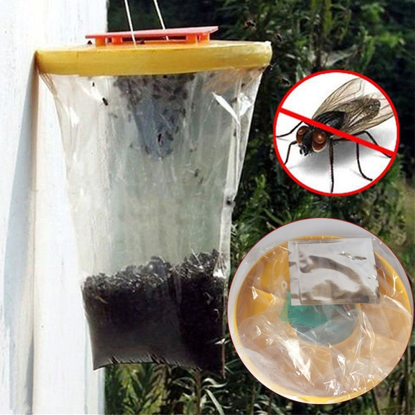 hanging fly trap