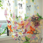 thumbnail - 1